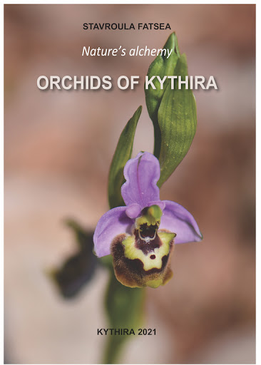 Orchideen von Kythira
